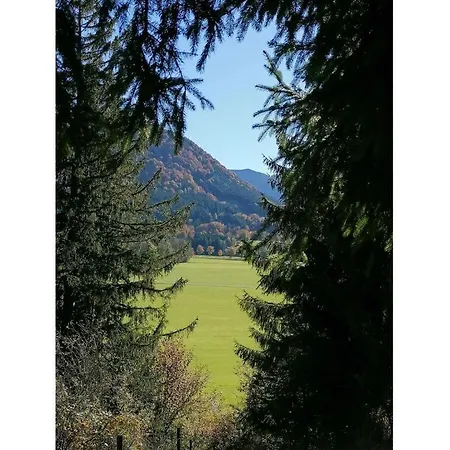 In Bischoff * Halblech