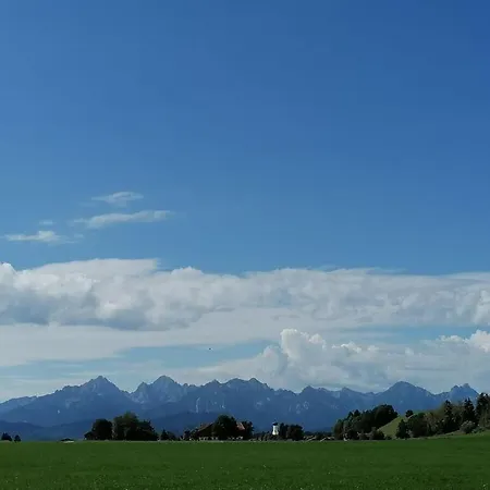 In Bischoff Halblech